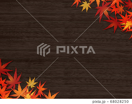 紅葉 紅葉 68028250