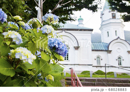 あじさいと函館ハリストス正教会 あじさいと函館ハリストス正教会 68028883