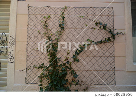 クロアチア スプリット 68028956