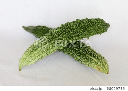 ゴーヤ ゴーヤ 68029736