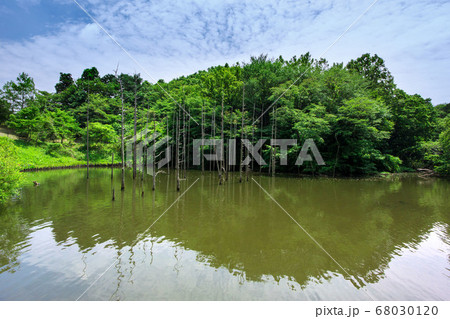 都立小山内裏公園と大田切池 68030120