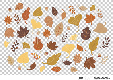 秋の落ち葉デザイン素材のイラスト素材