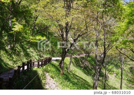 奈良県 吉野山の風景 奈良県 吉野山の風景 68031010