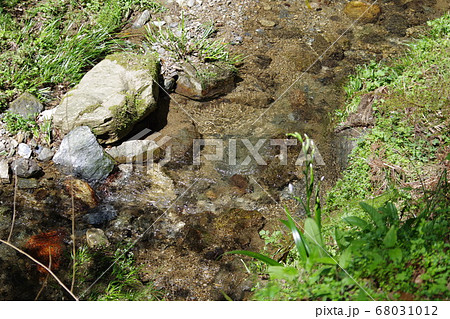 奈良県 吉野山の風景 奈良県 吉野山の風景 68031012
