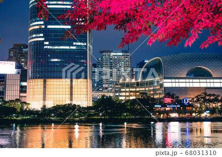 石村湖 湖 紅葉 68031310