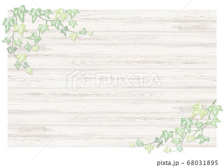 pale colour flame "Ivy plants" 手描き淡い色のアイビー白木目背景横 68031895