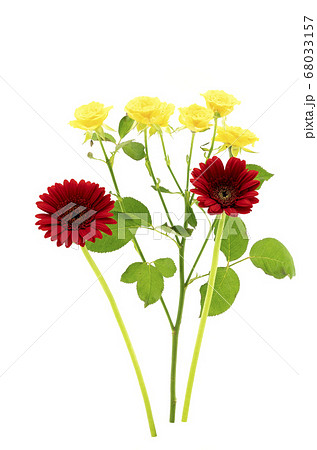バラとガーベラ 68033157