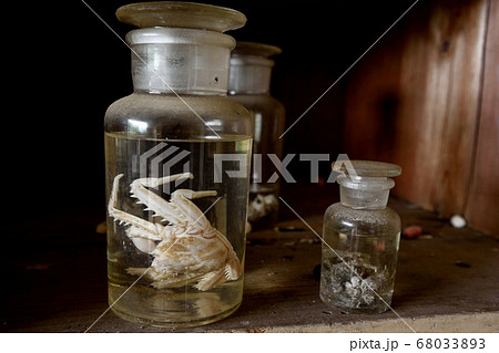 小学校の廃墟 小学校の廃墟 68033893