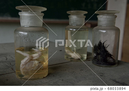 小学校の廃墟 小学校の廃墟 68033894