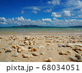 珊瑚と共に 〜沖縄の海、青い空〜 68034051