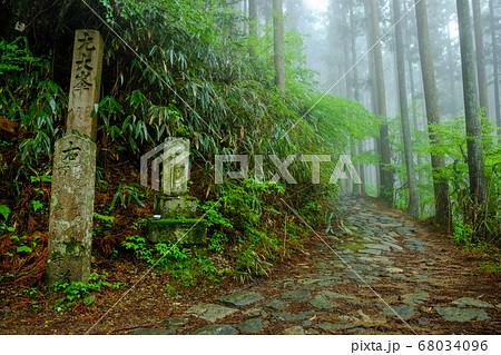霧の大峰奥駈道(奈良県吉野郡吉野町) 霧の大峰奥駈道(奈良県吉野郡吉野町) 68034096