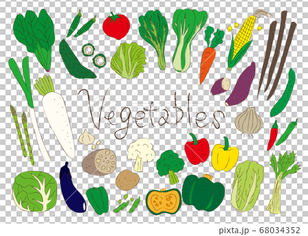 野菜イラスト 野菜イラスト 68034352