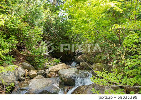 新緑の照葉峡　奥利根　側道の沢　　群馬県みなかみ町　　 68035399