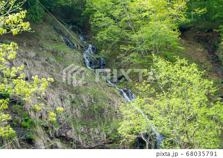 新緑の照葉峡　奥利根　ひぐらしの滝　　群馬県みなかみ町　　 68035791