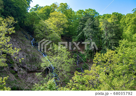 新緑の照葉峡　奥利根　ひぐらしの滝　　群馬県みなかみ町　　 68035792
