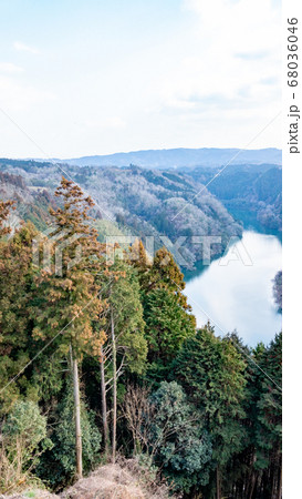 日本の梅のる風景 日本の梅のる風景 68036046