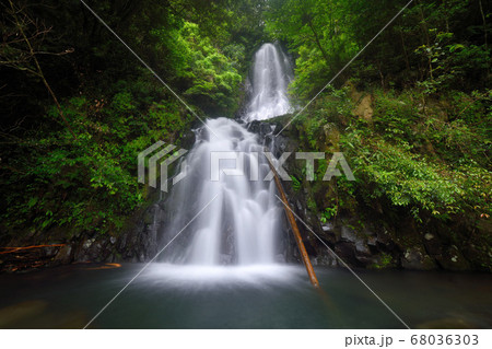 鹿目の滝「雌滝」 68036303