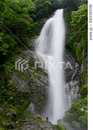 栴檀轟の滝 栴檀轟の滝 68036506
