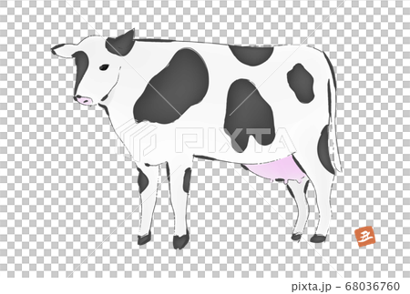 New Year's card material 2021 year of the ox: brush-drawn cow illustration 68036760