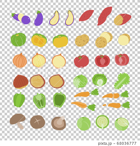 野菜のシンプルな手描き風ベクターイラストセットのイラスト素材 [68036777] - Pixta