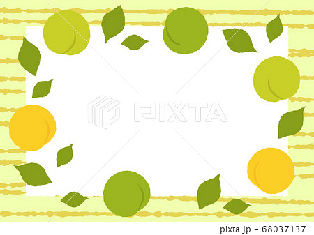 青梅の実と葉の手描き風フレームのイラスト素材