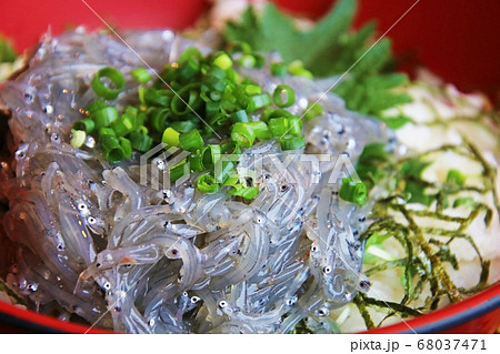 新鮮な生シラス丼 Fresh seafood(shirasu) in Japan 新鮮な生シラス丼 Fresh seafood(shirasu) in Japan 68037471