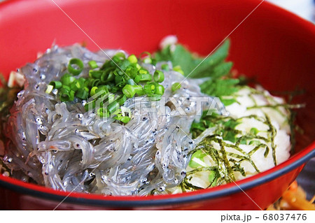 新鮮な生シラス丼　Fresh seafood(shirasu) in Japan 68037476