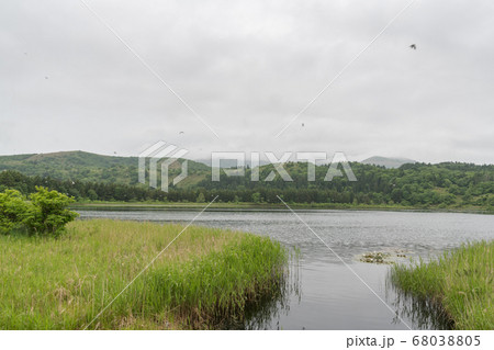 オタトマリ沼 68038805