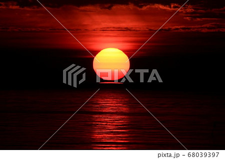 ダルマ朝日 68039397