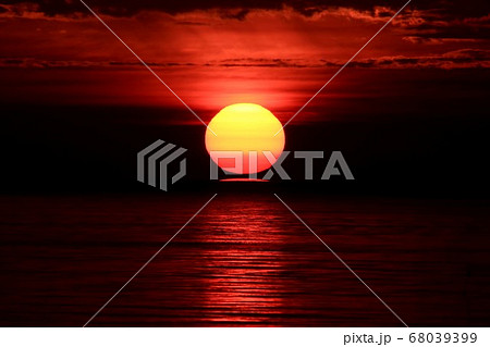 ダルマ朝日 68039399