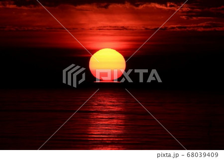 ダルマ朝日 68039409