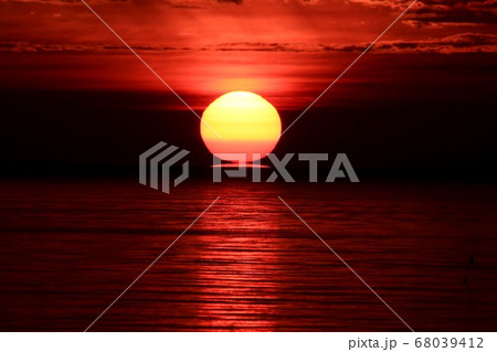 ダルマ朝日 68039412