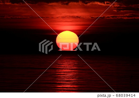 ダルマ朝日 68039414