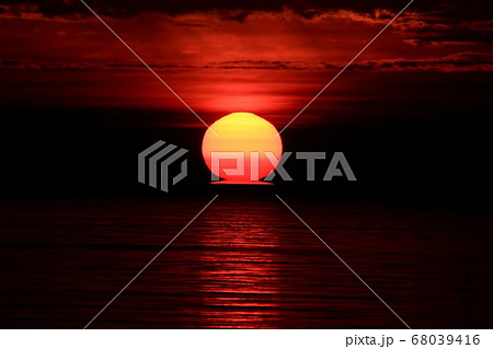 ダルマ朝日 68039416