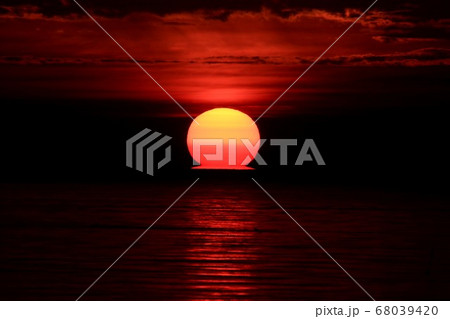 ダルマ朝日 68039420