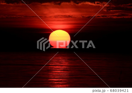 ダルマ朝日 68039421