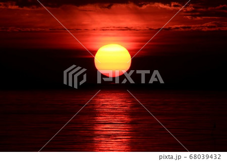 ダルマ朝日 68039432