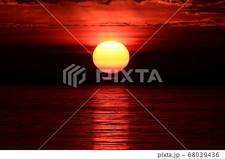 ダルマ朝日 68039436