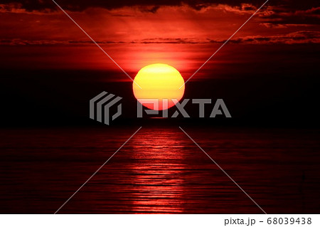 ダルマ朝日 68039438