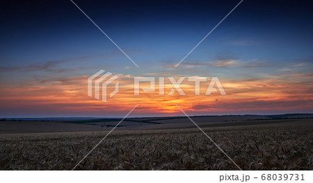 wheat field in a beautiful sunset, sunlight and 68039731