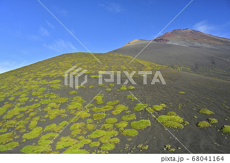 富士山二ツ塚下塚から上塚・宝永山・山頂を望む 68041164