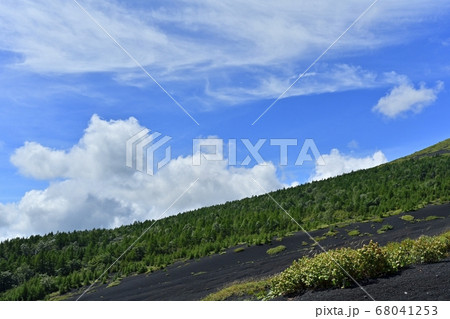 富士山御殿場ルートから二ツ塚東麓の森と雲 富士山御殿場ルートから二ツ塚東麓の森と雲 68041253