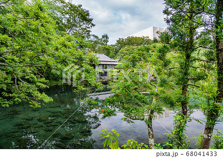 (静岡県)三島市楽寿園 満水の小浜池 (静岡県)三島市楽寿園 満水の小浜池 68041433