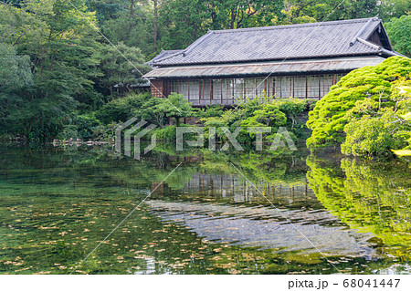 (静岡県)三島市楽寿園 満水の小浜池 (静岡県)三島市楽寿園 満水の小浜池 68041447