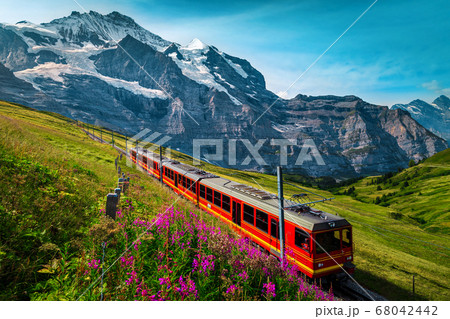 Electric passenger train and snowy Jungfrau mountains in background, Switzerland 68042442