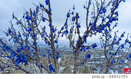 Blue Evil eye charms hang on the tree in Cappadocia, Turkey 68042705