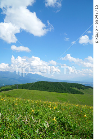 ニッコウキスゲが咲く霧ヶ峰高原 68043715