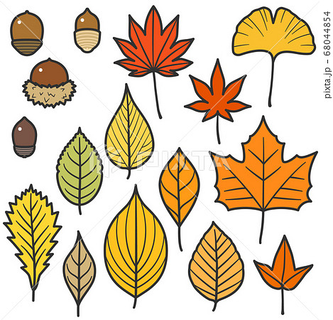 紅葉する葉っぱとどんぐりセット／線あり 68044854