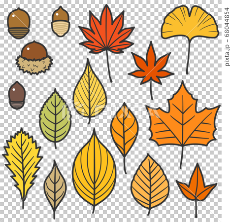 紅葉する葉っぱとどんぐりセット／線あり 68044854