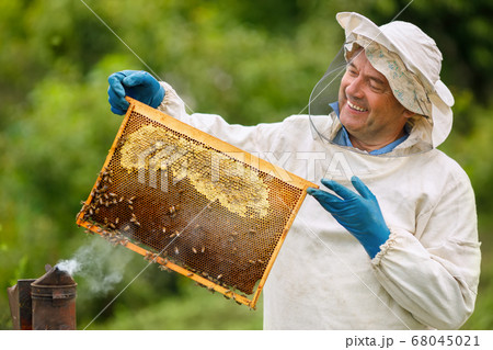 Beekeeper at apiary 68045021